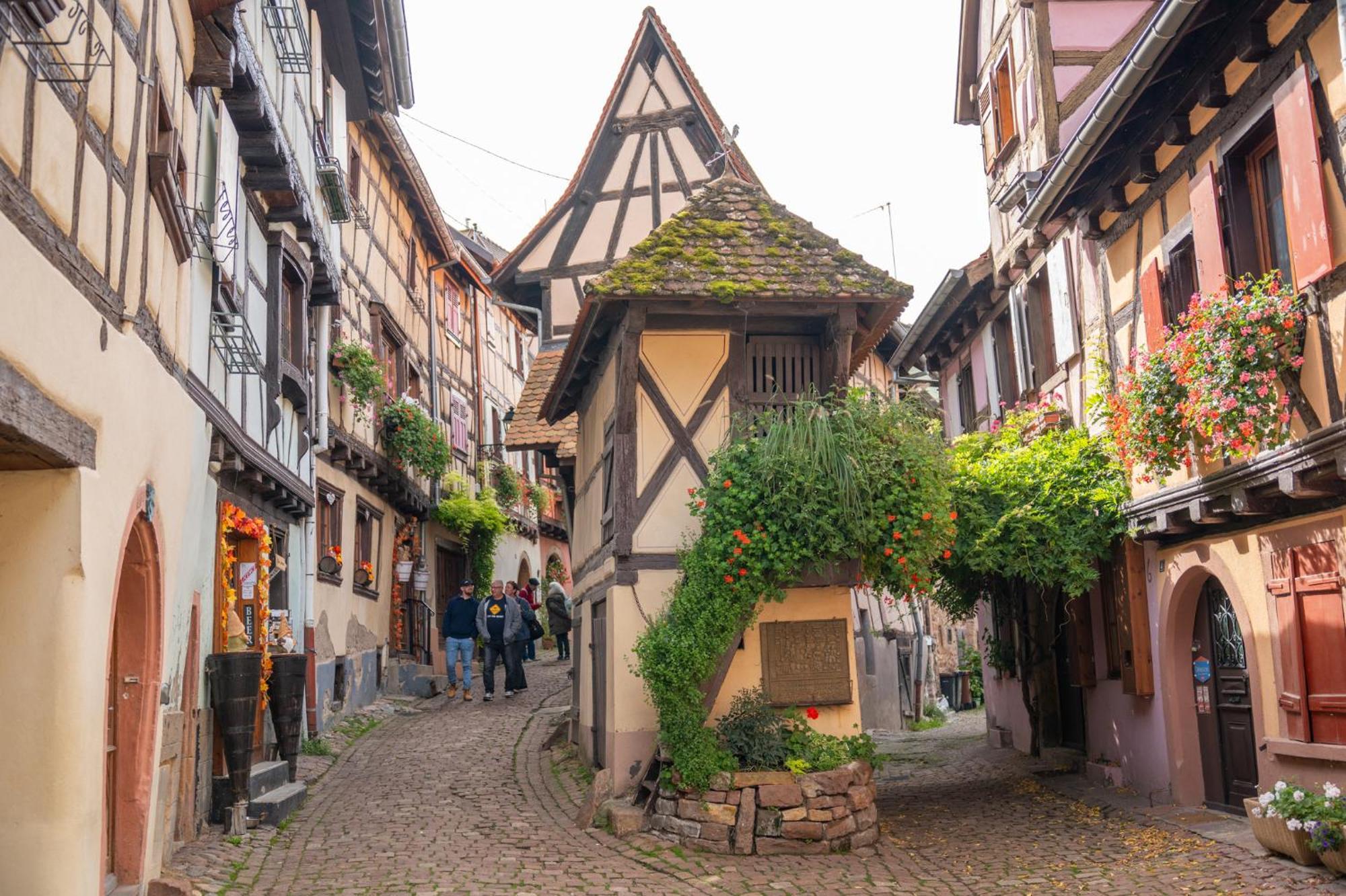 Gite La Grange Eguisheim Kültér fotó